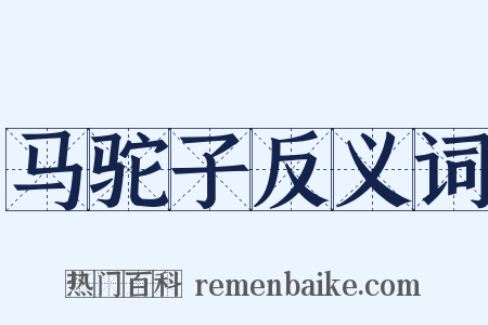 马驼子反义词是什么意思的图片